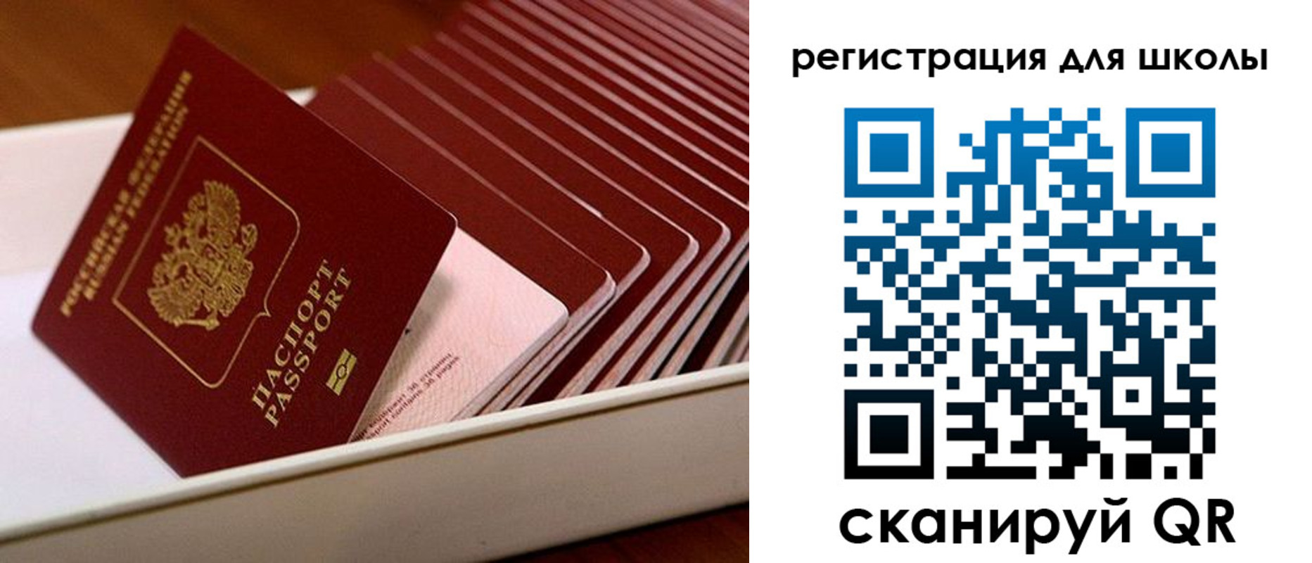 прописка гарантия в Талдоме
